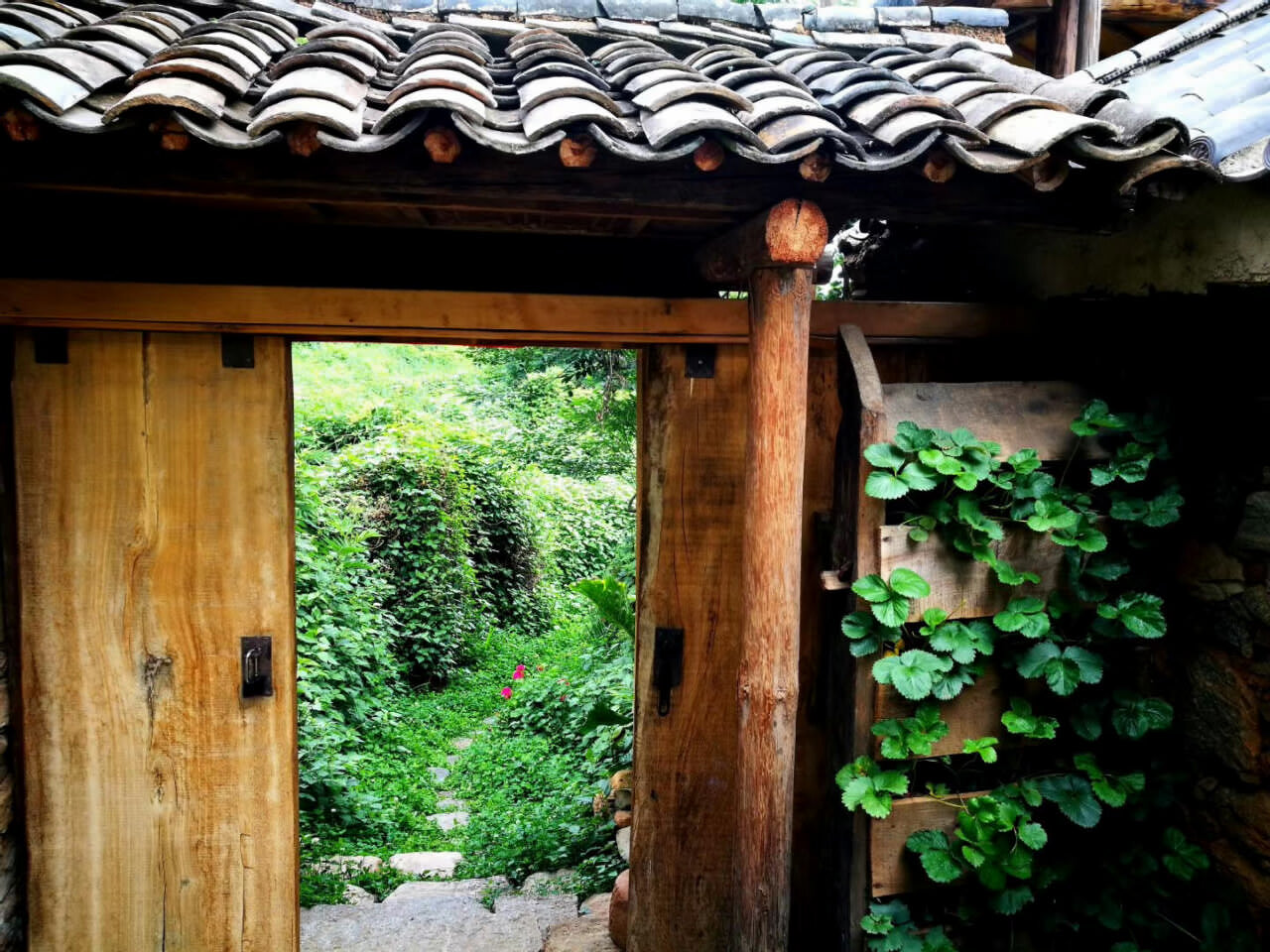 大理茶馬古道團(tuán)建鳳陽(yáng)邑古村落
