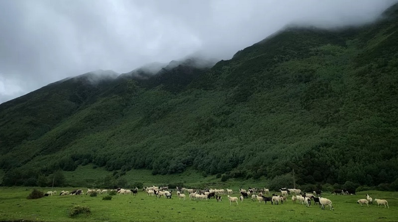 如何選擇適合自己的研學(xué)旅行及選擇研學(xué)機(jī)構(gòu)的標(biāo)準(zhǔn)是什么？