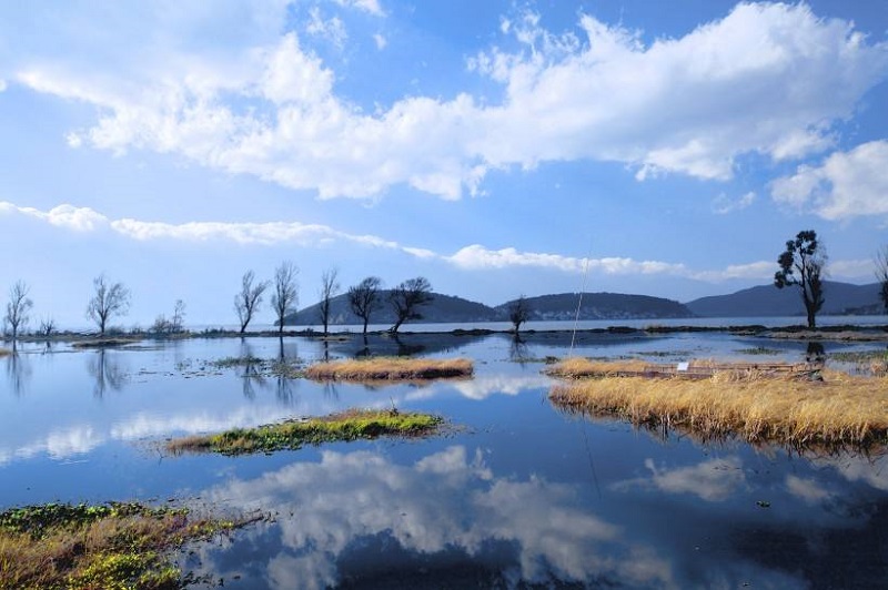 天行大理夏令營(yíng)活動(dòng)能為孩子提供哪些安全保障？