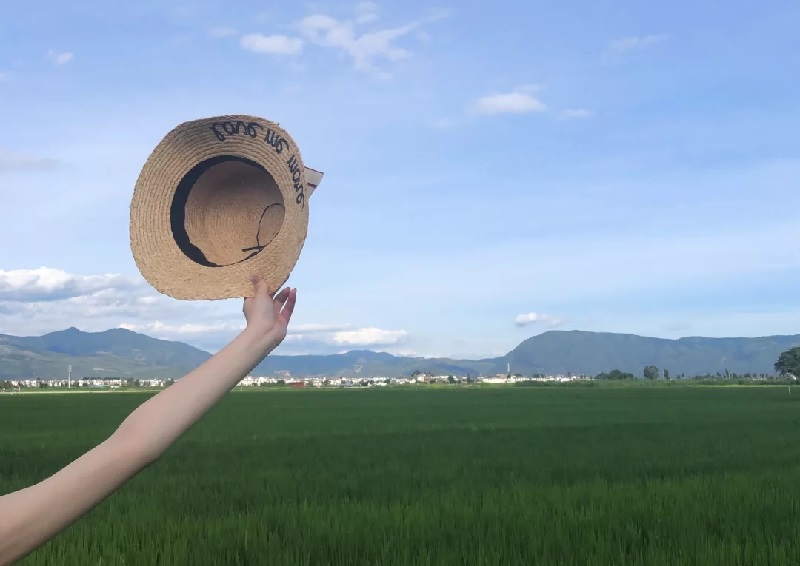 大理旅行最愛(ài)的餐廳合集