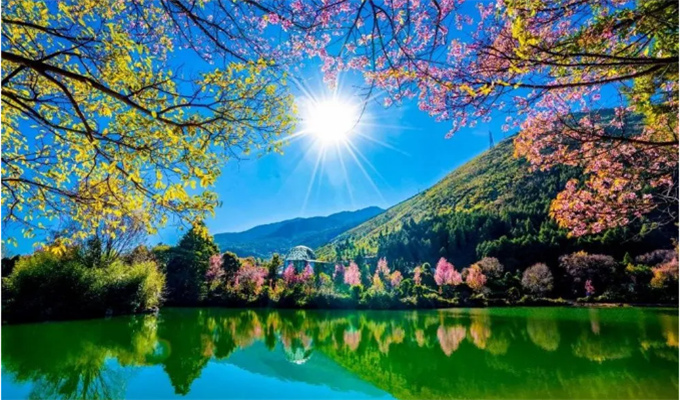 大理旅游蝴蝶泉邊：邂逅超越時(shí)代的古老愛情，浪漫與幸福觸手可及