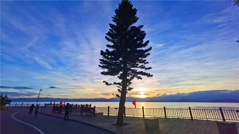 大理濃烈的夏日味道，都藏在洱海生態(tài)廊道
