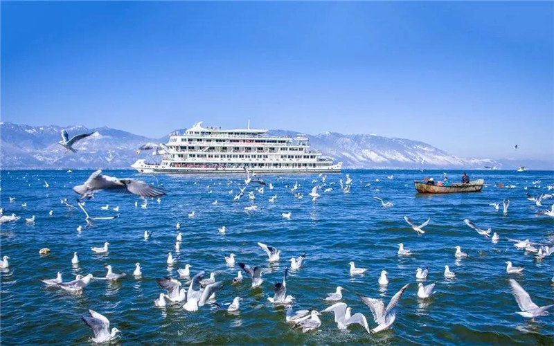 大理旅游 去表白吧！在大理這些美麗的湖畔