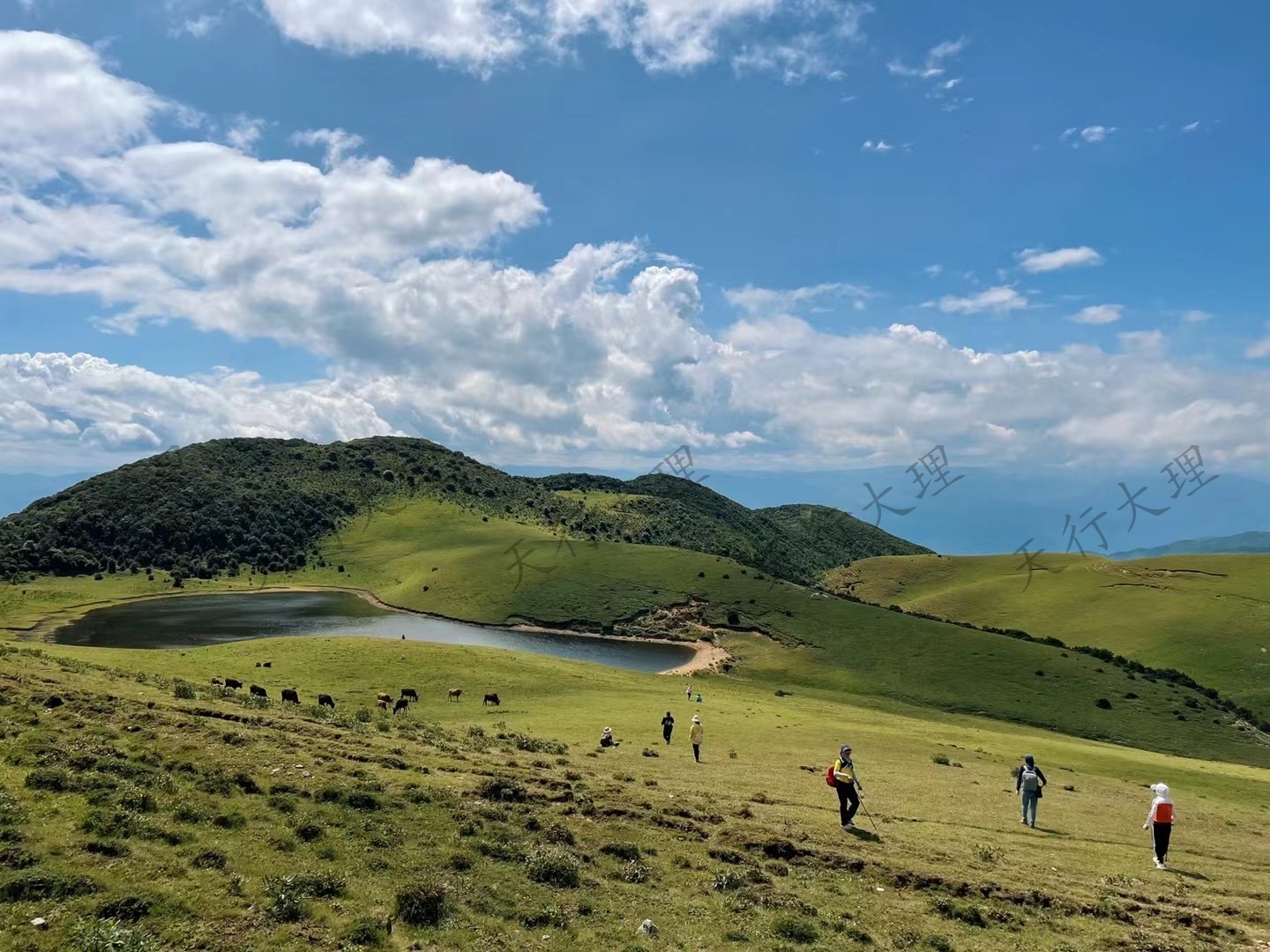 大理洱源鳥吊山徒步露營(yíng)
