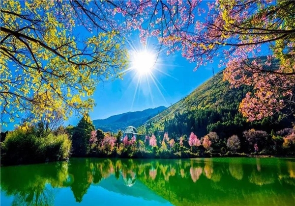 蝴蝶泉邊：邂逅超越時(shí)代的古老愛(ài)情，浪漫與幸福觸手可及