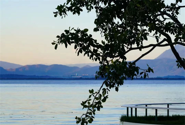大理策劃公司:海舌，洱海邊的“寶藏公園”